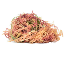 Load image into Gallery viewer, 2 oz. St. Lucia Sea Moss Multi Color - st. Lucia Sea Moss Gold
