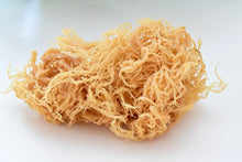 Load image into Gallery viewer, 8 oz. St. Lucia Gold Sea Moss - st. Lucia Sea Moss Gold